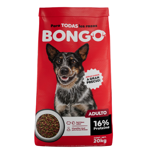 Bongo Adulto